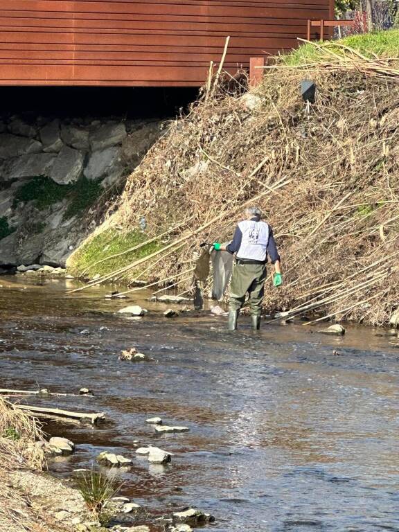 Legambiente pulizia dell’Olona a Legnano 