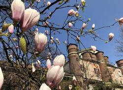 Lombardia - La primavera nei parchi lombardi