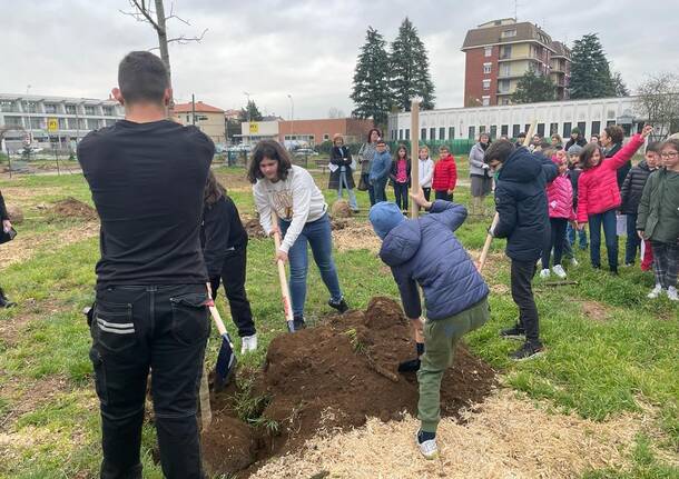 16 nuove piante al Parco dei Platani di Castellanza, una per ogni classe della Maria Ausiliatrice