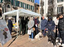 Parte la campagna per l'obbligo di sciacquare la pipi del cane