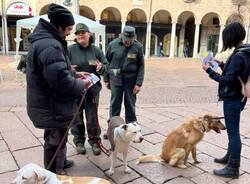 Parte la campagna per l'obbligo di sciacquare la pipi del cane