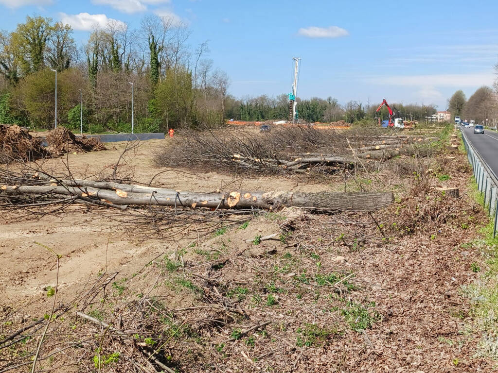 abbattimento alberi casorate sempione ferrovia malpensa