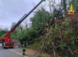 Alberi caduti in via Macchio a Premezzo 