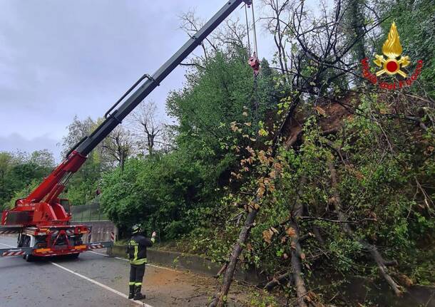 Alberi caduti in via Macchio a Premezzo 