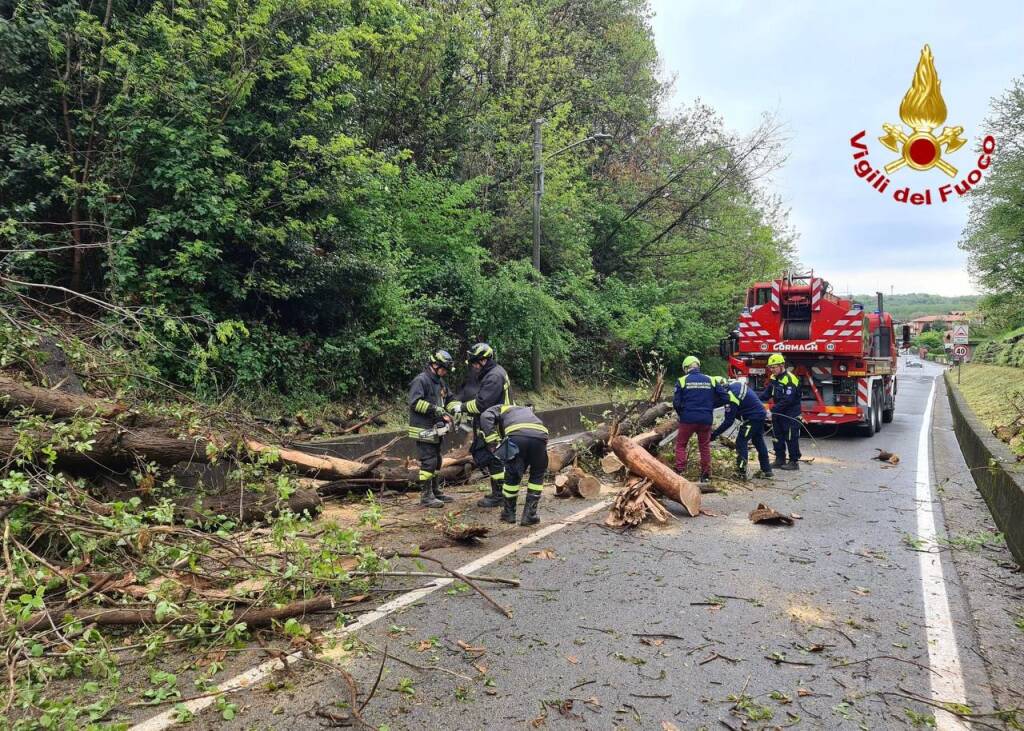 Alberi caduti in via Macchio a Premezzo 