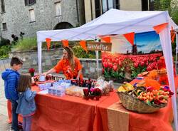 Azzate si colora di arancione per il “Koningsdag”, la festa nazionale olandese