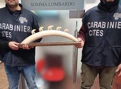 Carabinieri avorio somma lombardo