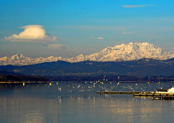 Schiranna, Lago di Varese