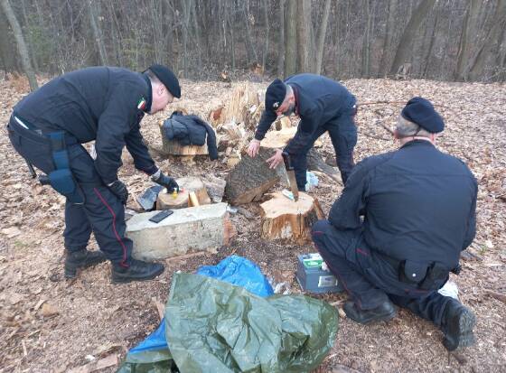 Controlli nel parco pineta 