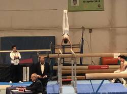 Ginnastica Perseverant Legnano: Prima prova Campionato regionale LB ed LC