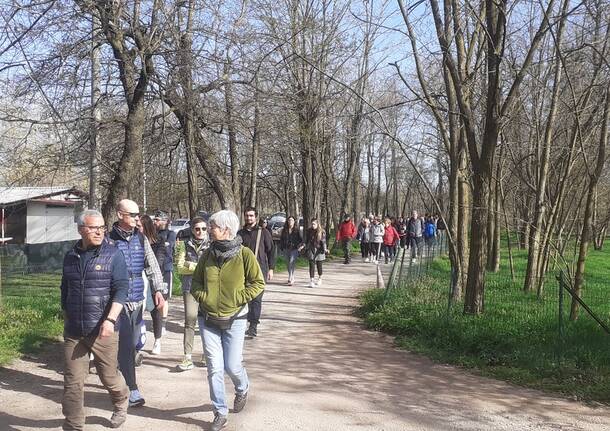 Quattro passi nel blu: la camminata a Samarate per la nuova casa per persone con autismo