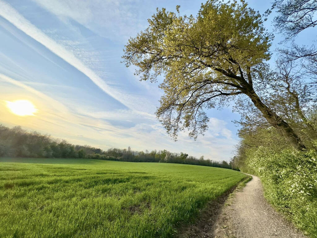 Pianbosco / Venegono Superiore - VareseNews