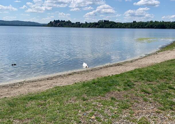 balneabilità a gavirate