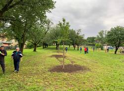 Il Parco dei Ciliegi di Morosolo ancora più bello grazie a tre nuovi alberi