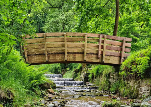 Il parco dell'argentera di cadegliano viconago 