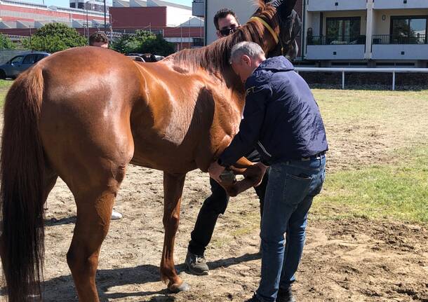 Prove ufficiali al campo del Palio 