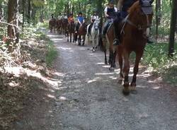 Scuderia Garzonera Horses Yard asd di Vergiate - campo estivo