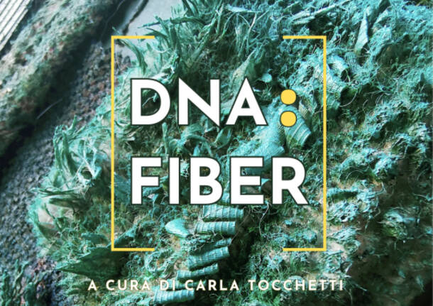DNA: FIBER di Elena Rizzardi