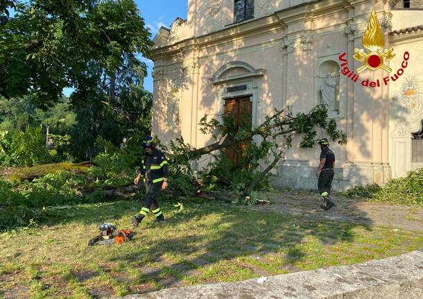 luino caduta ramo