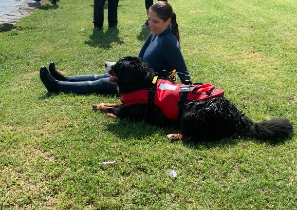 Attività per cani al lido di Bodio 