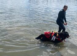 Attività per cani al lido di Bodio 