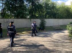 controlli antidroga polizia locale gallarate