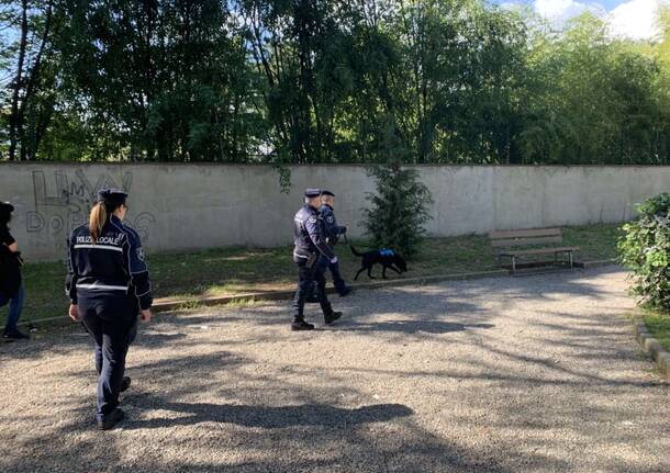 controlli antidroga polizia locale gallarate