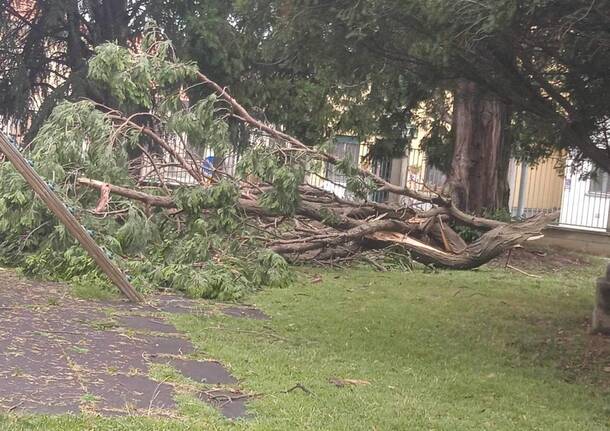 I danni da maltempo a Samarate