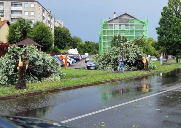 gallarate tempesta