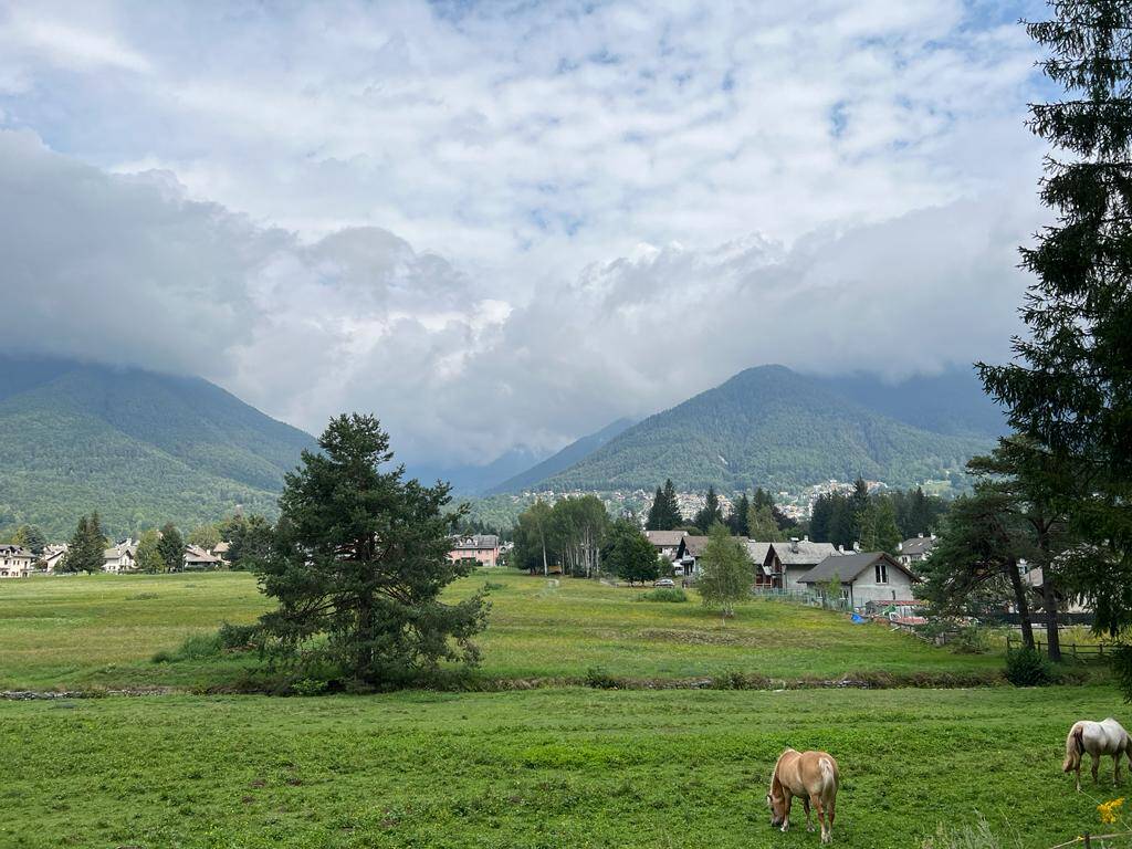 Inaugurazione del parco "La Gabbia", area multisport a Carnago 