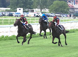 ippodromo Bettole Varese