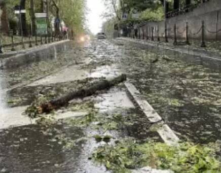 La grandinata su Saronno, le foto di Ezio Cairoli 