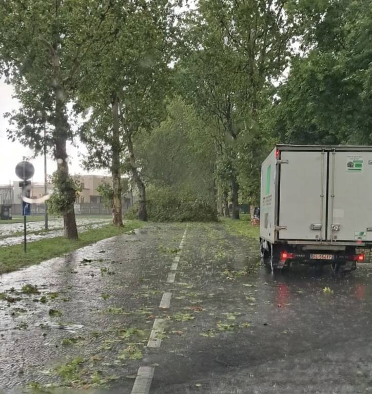 La grandinata su Saronno, le foto di Ezio Cairoli 