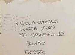 La lettera di Viola a Giulio Coniglio 