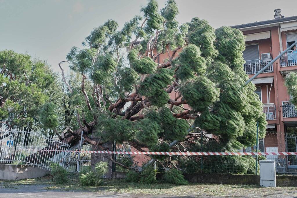 Maltempo 24 luglio - I danni a Canegrate