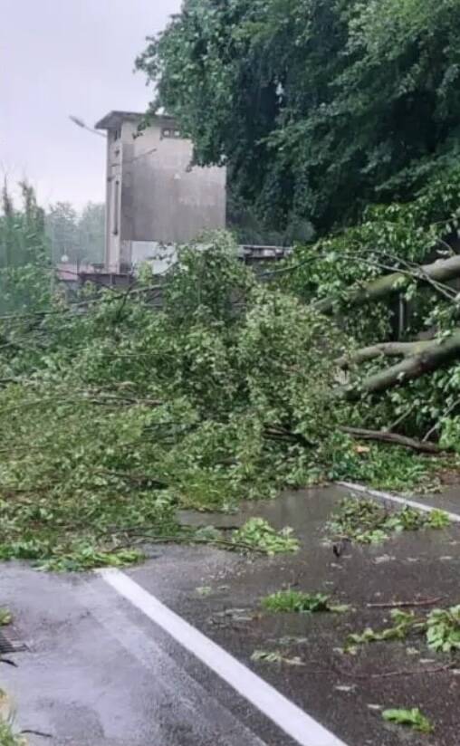 Maltempo a Tradate (foto di Ezio Cairoli)