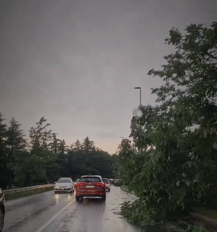 Maltempo a Tradate (foto di Ezio Cairoli)