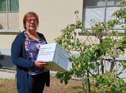 mazzini's herb garden