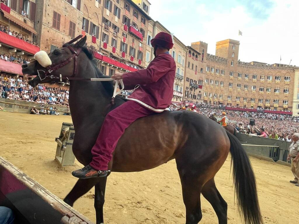 Prova generale palio di Siena luglio 2023