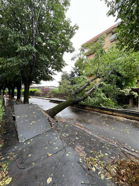 Torna il maltempo sul Legnanese