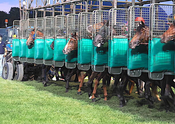 Varese - Premio "La Novella" all'ippodromo delle Bettole di Varese - foto di Roberto Gernetti