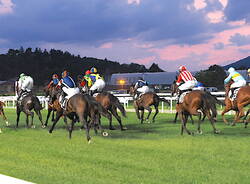 Varese - Premio "La Novella" all'ippodromo delle Bettole di Varese - foto di Roberto Gernetti