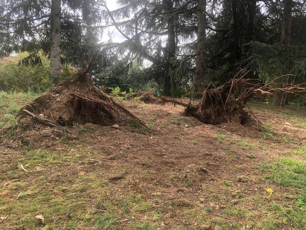 Cimitero Parco a Legnano dopo il maltempo