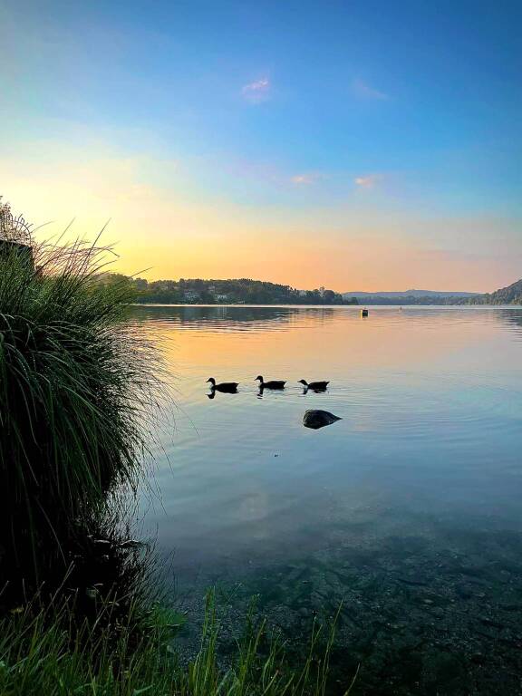 foto del giorno 27 agosto 2023 luca serafin lago di monate