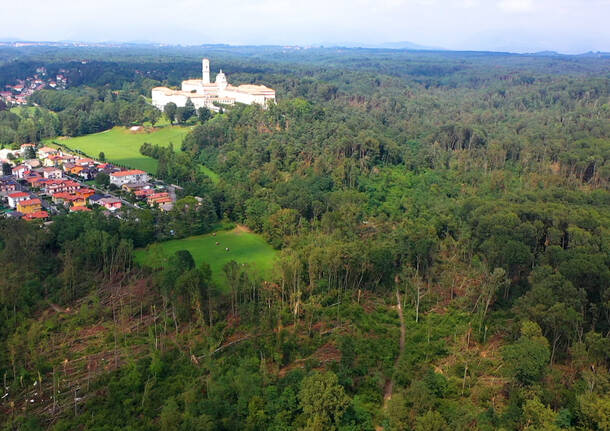 Il Parco Pineta ferito dalla tempesta