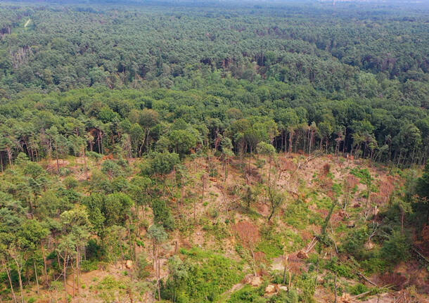 Il Parco Pineta ferito dalla tempesta