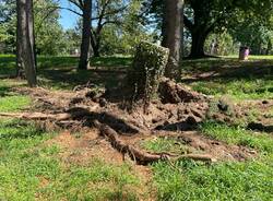 Parco castello a Legnano riaperto al pubblico