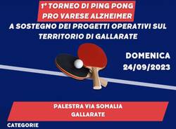 Torneo di ping pong