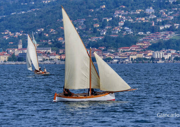 foto del giorno 5 settembre 2023 verbano classic regatta cerro di laveno | di Giancarlo Tiranti