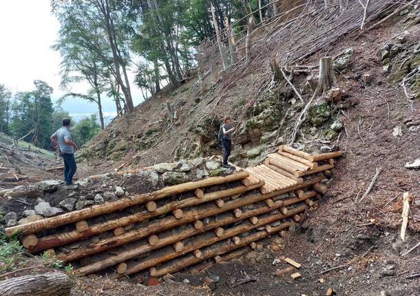 lavori boschi dissesto idrogeologico luvinate campo dei fiori